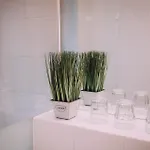 Appartement Auenfeld